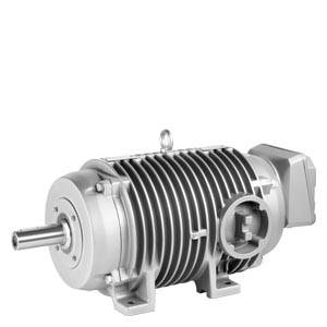 Siemens 1PC14231DB6..... – Siemens SIMOTICS DP roller conveyor motor, CL, IP66 with standard insulation for operation on SINAMI