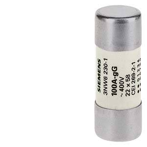 Siemens 3NW62301 – Siemens SENTRON, cylindrical fuse link, 22x58 mm, 100 A, gG, Un AC: 500 V