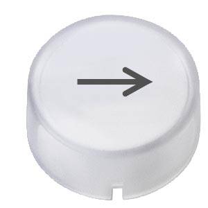 Siemens 3SB29015NA – Siemens Insert cap for pushbutton and illuminated pushbutton raised, clear with black font, with gra
