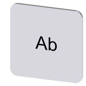 Siemens 3SU19000AF810AE0 – Siemens Labeling plate for gluing on enclosure, label size 22x22 mm, silver label, black font with i