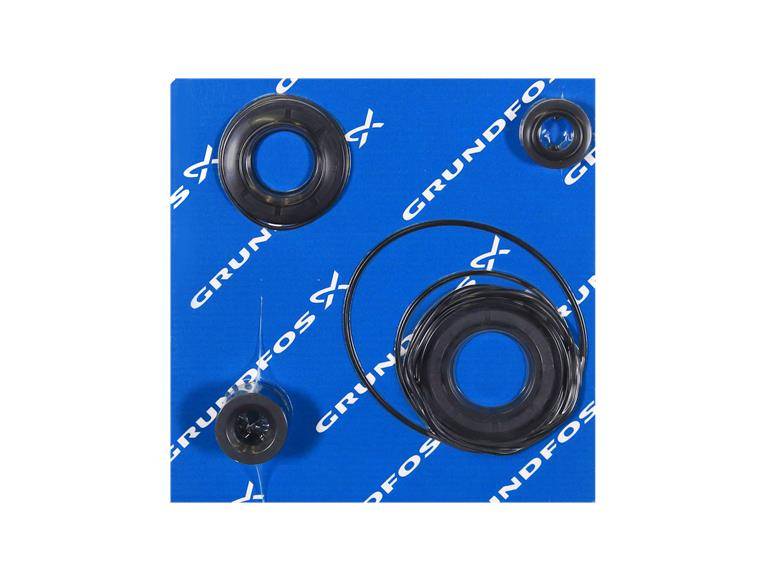 Grundfos 95065455