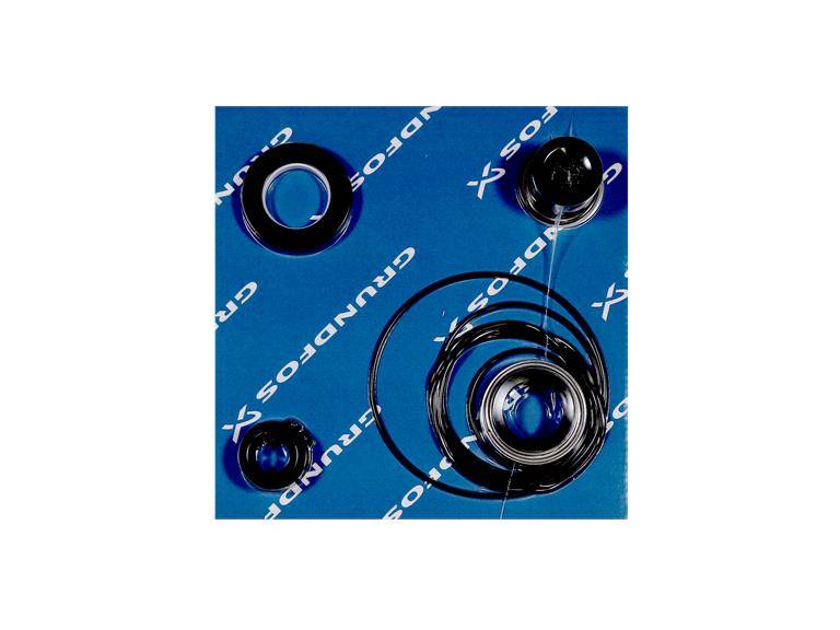 Grundfos 95065456