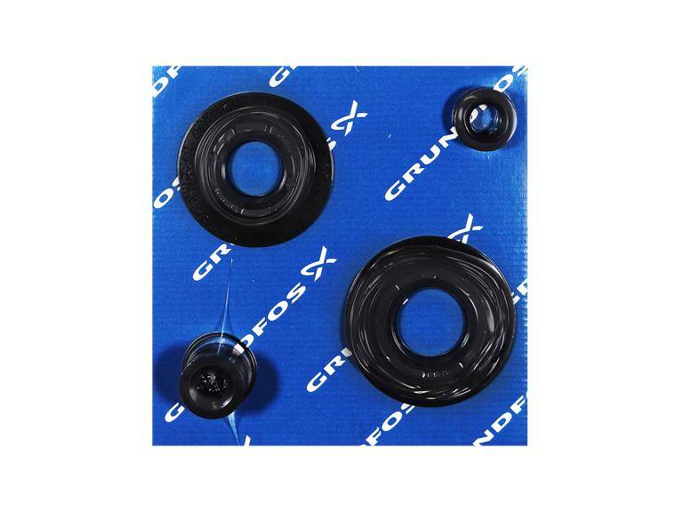 Grundfos 95065479
