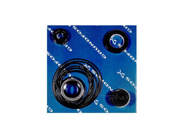 Grundfos 95065484