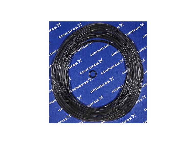 Grundfos 96060505