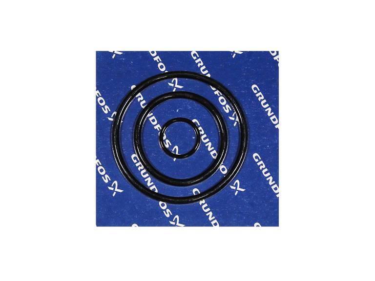 Grundfos 96060539