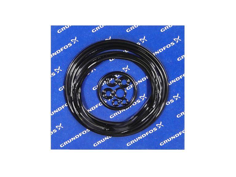 Grundfos 96255889