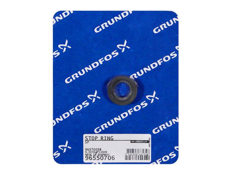 Grundfos 96550706