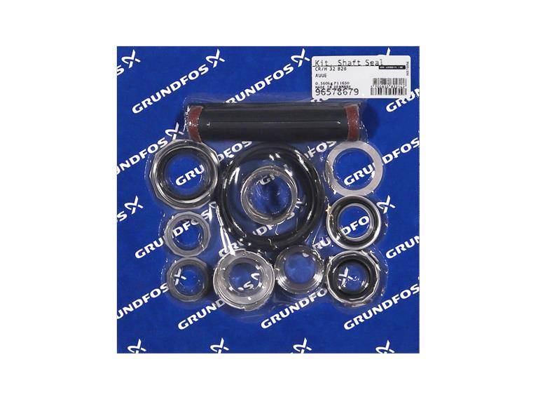 Grundfos 96578679