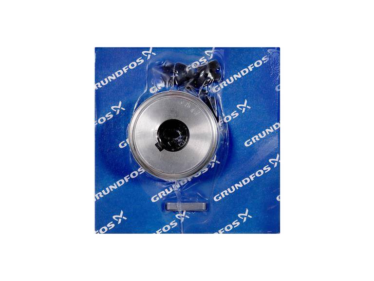 Grundfos 96579619