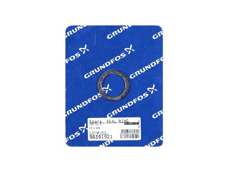 Grundfos 96591921