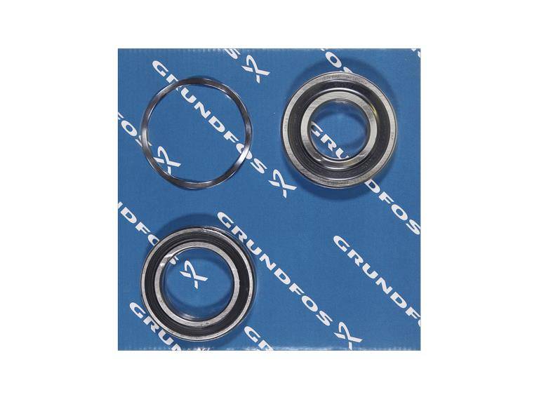 Grundfos 96645955