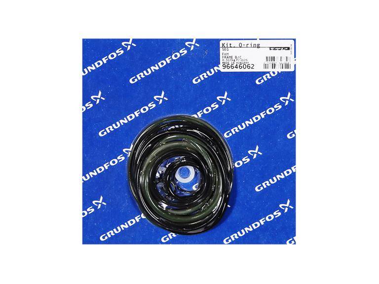 Grundfos 96646062