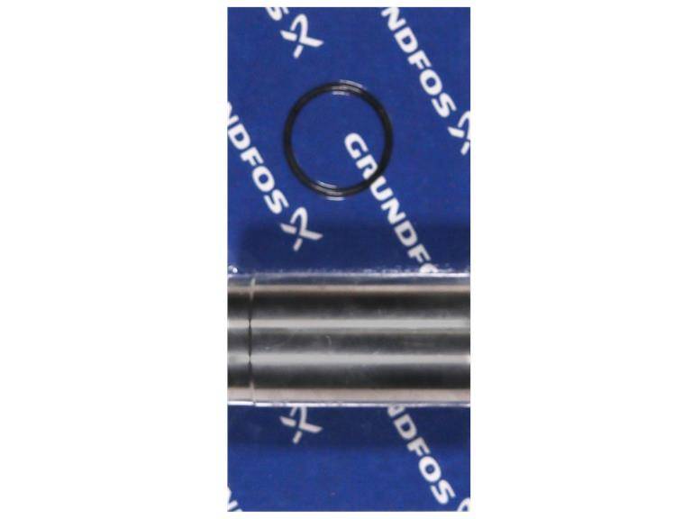 Grundfos 96861485