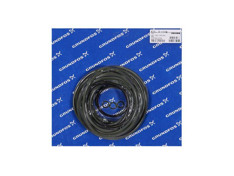 Grundfos 98119450