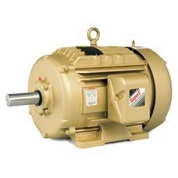 Baldor EFM2394T